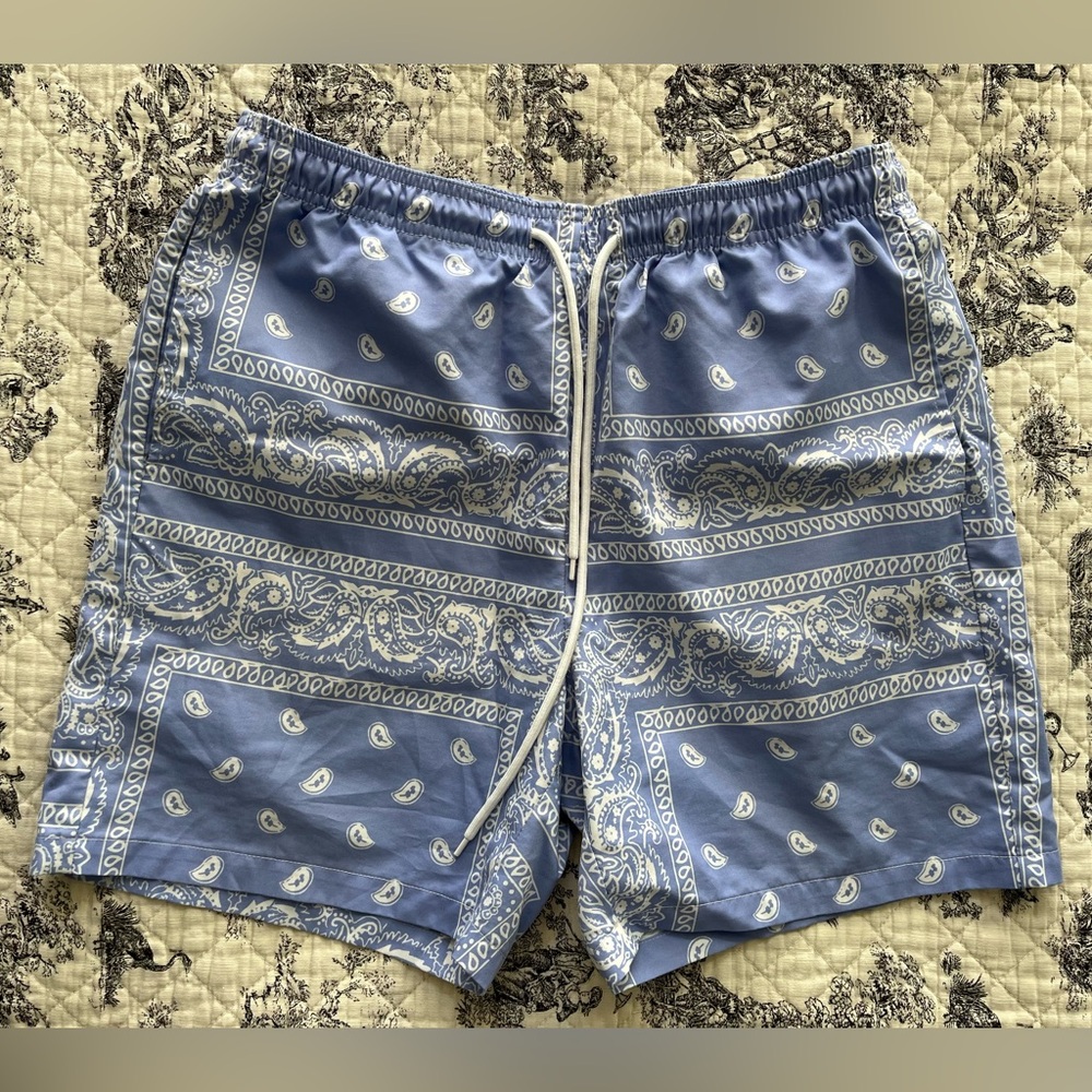 Men’s SHEIN Periwinkle Paisley Shorts, Size Medium